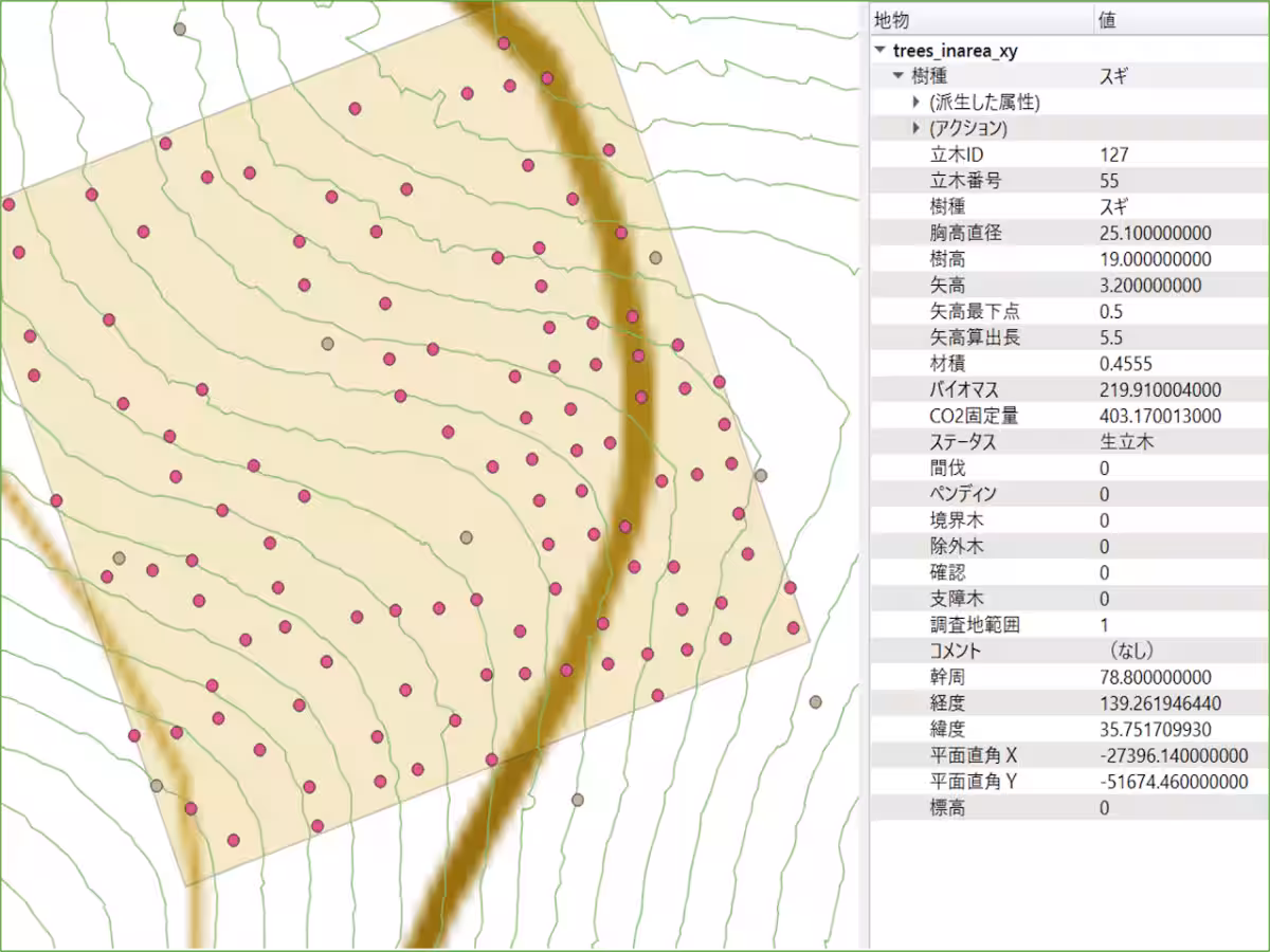 画像5