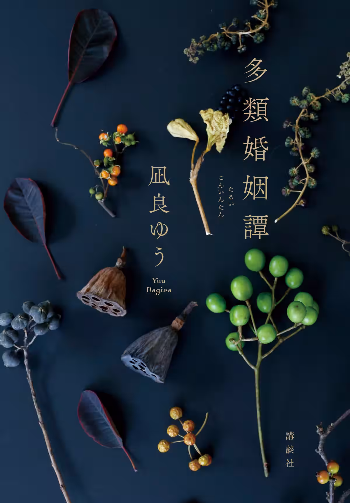 画像5
