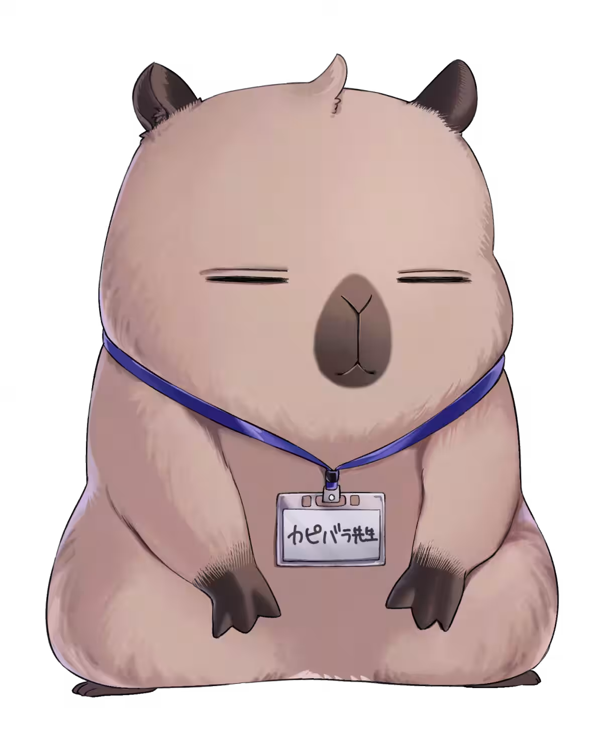 画像8