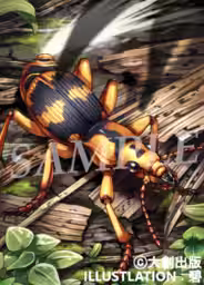 画像5