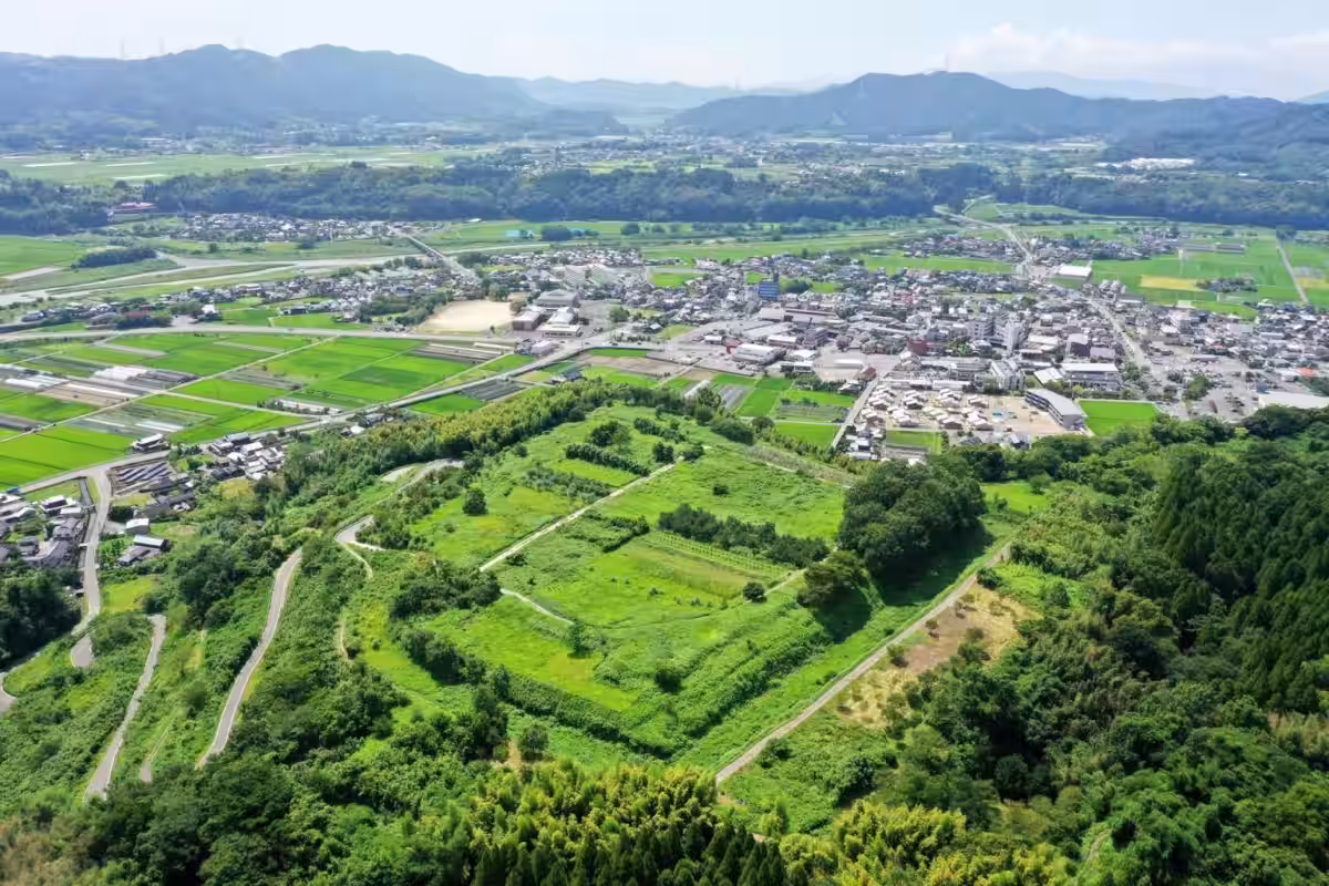 画像4