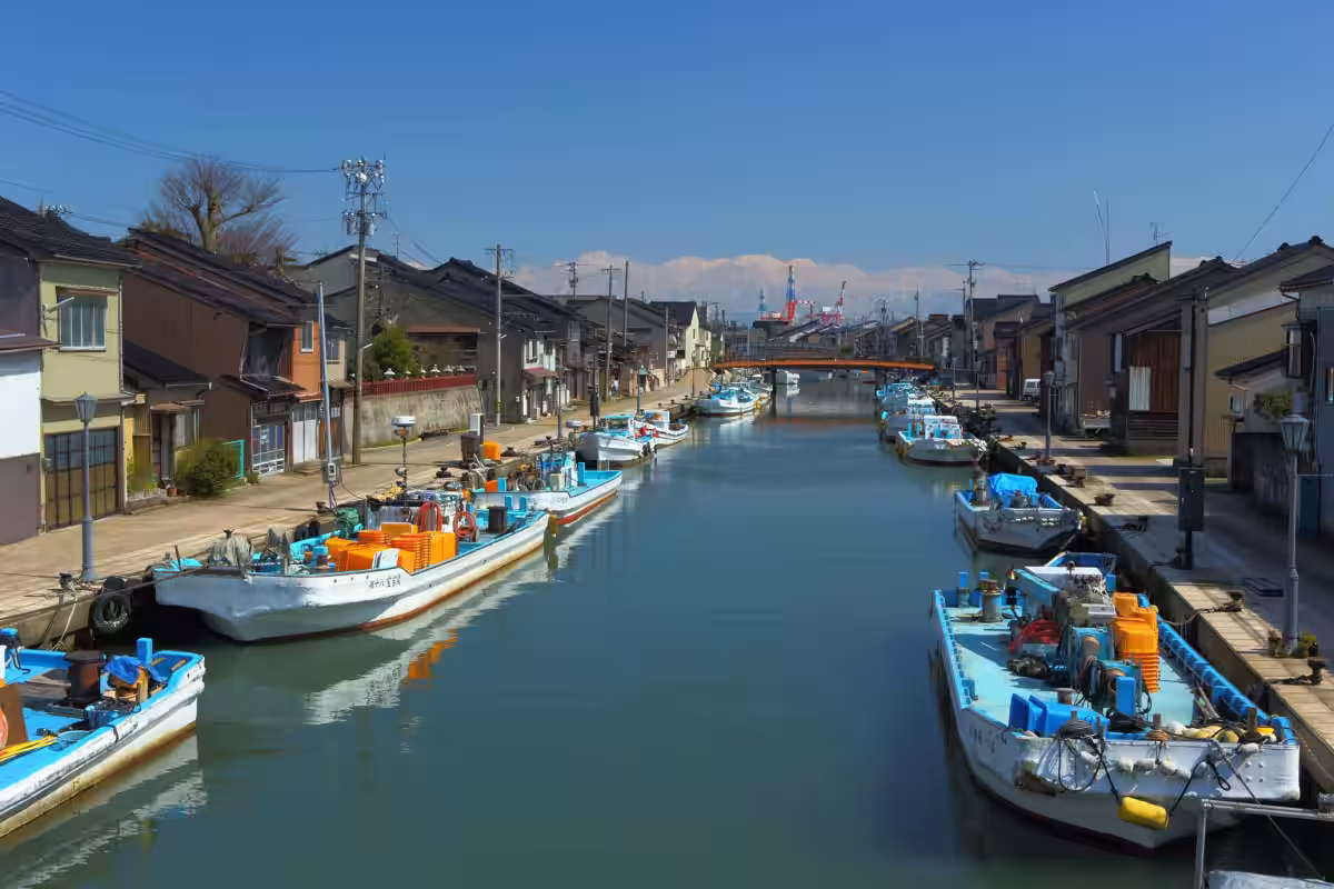 画像4