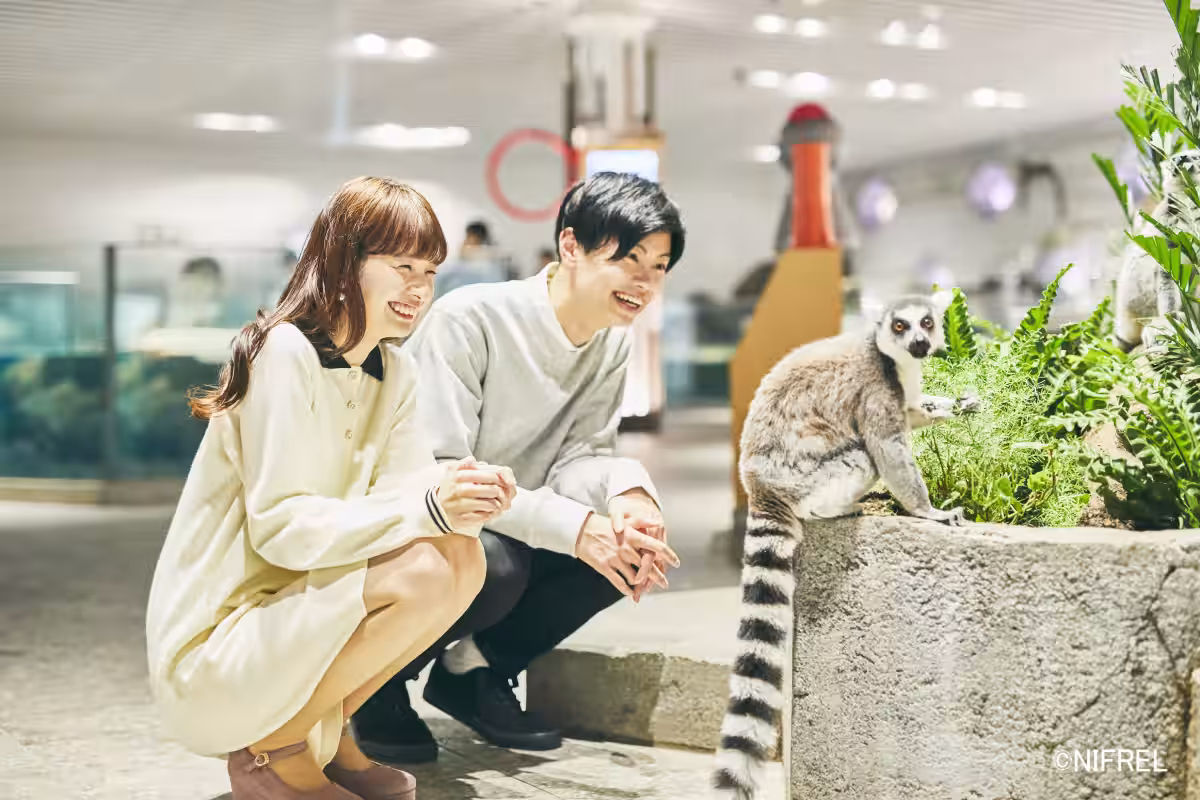画像6