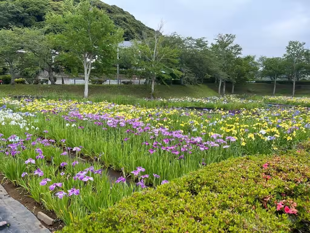 画像2