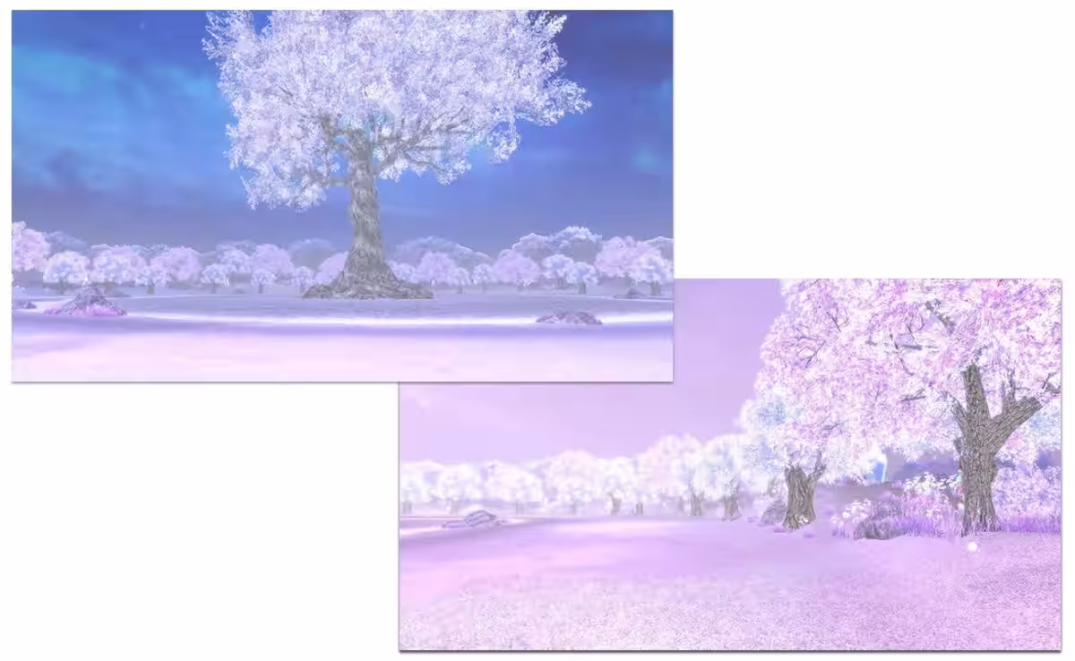 画像14