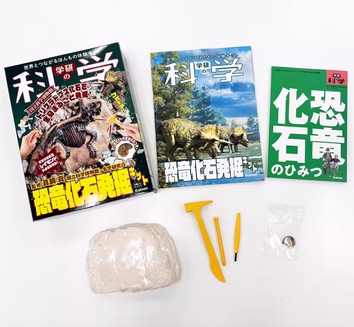 画像29
