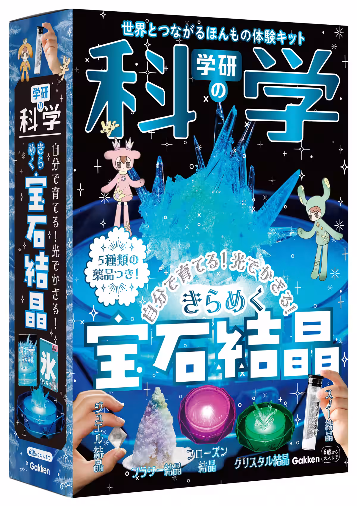 画像4