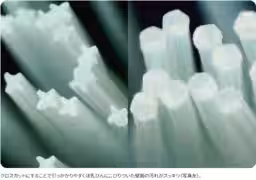画像11