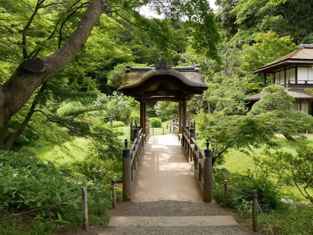 画像11