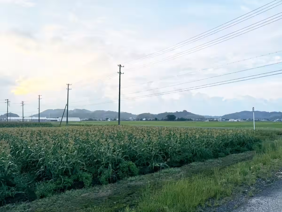 画像10