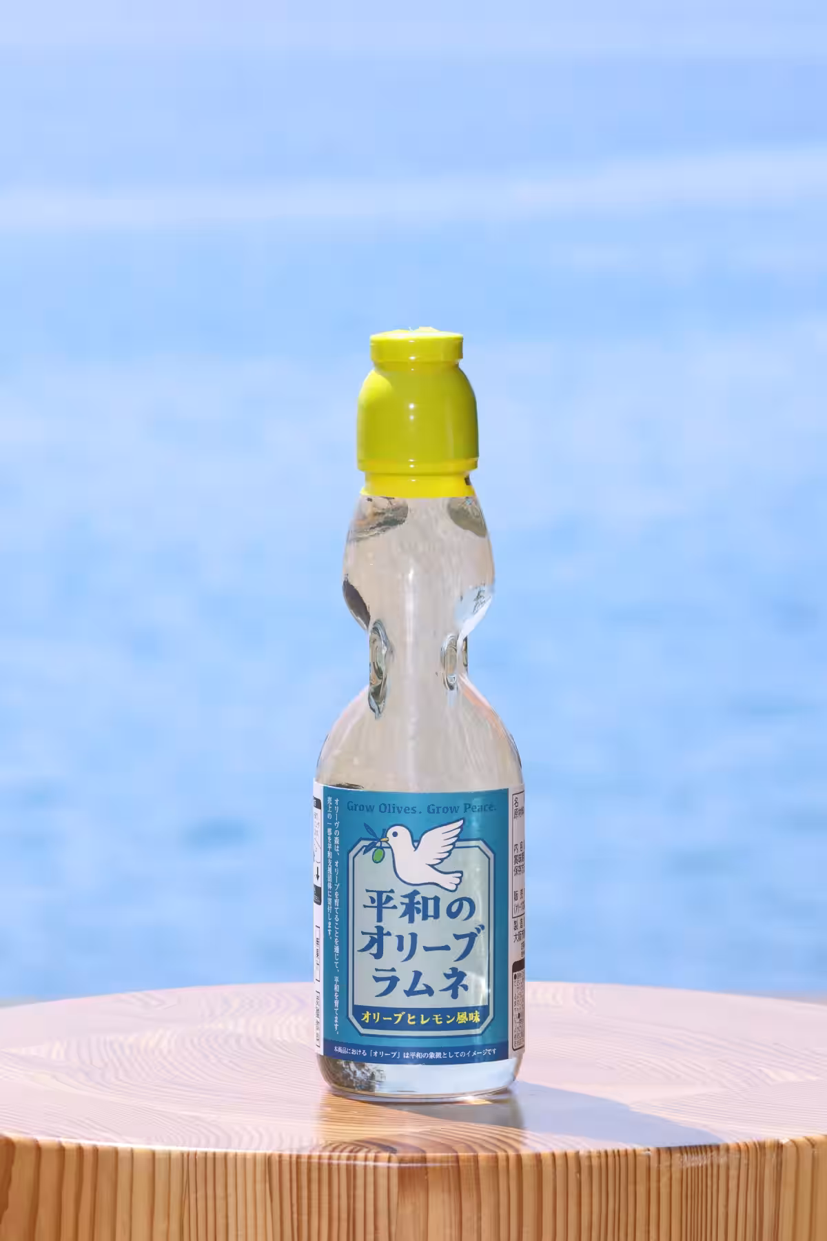 画像7