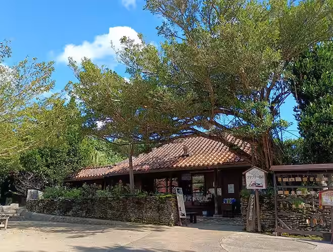 画像6