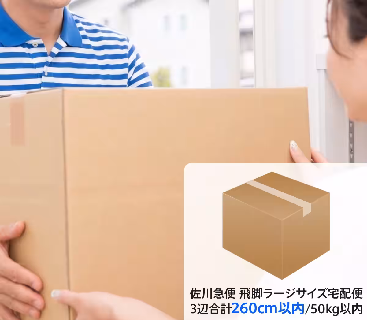 画像12