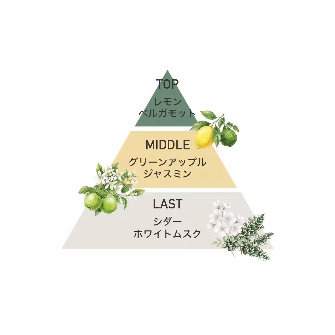 画像13