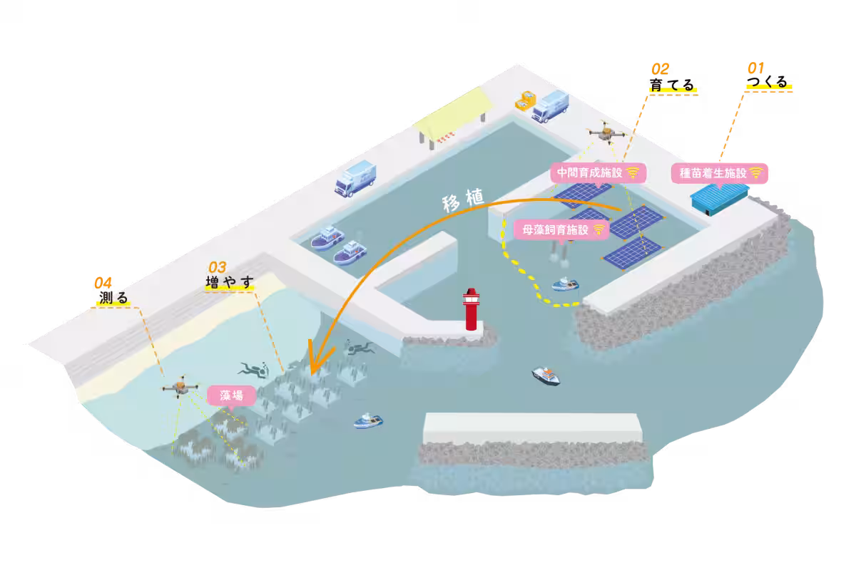 画像14