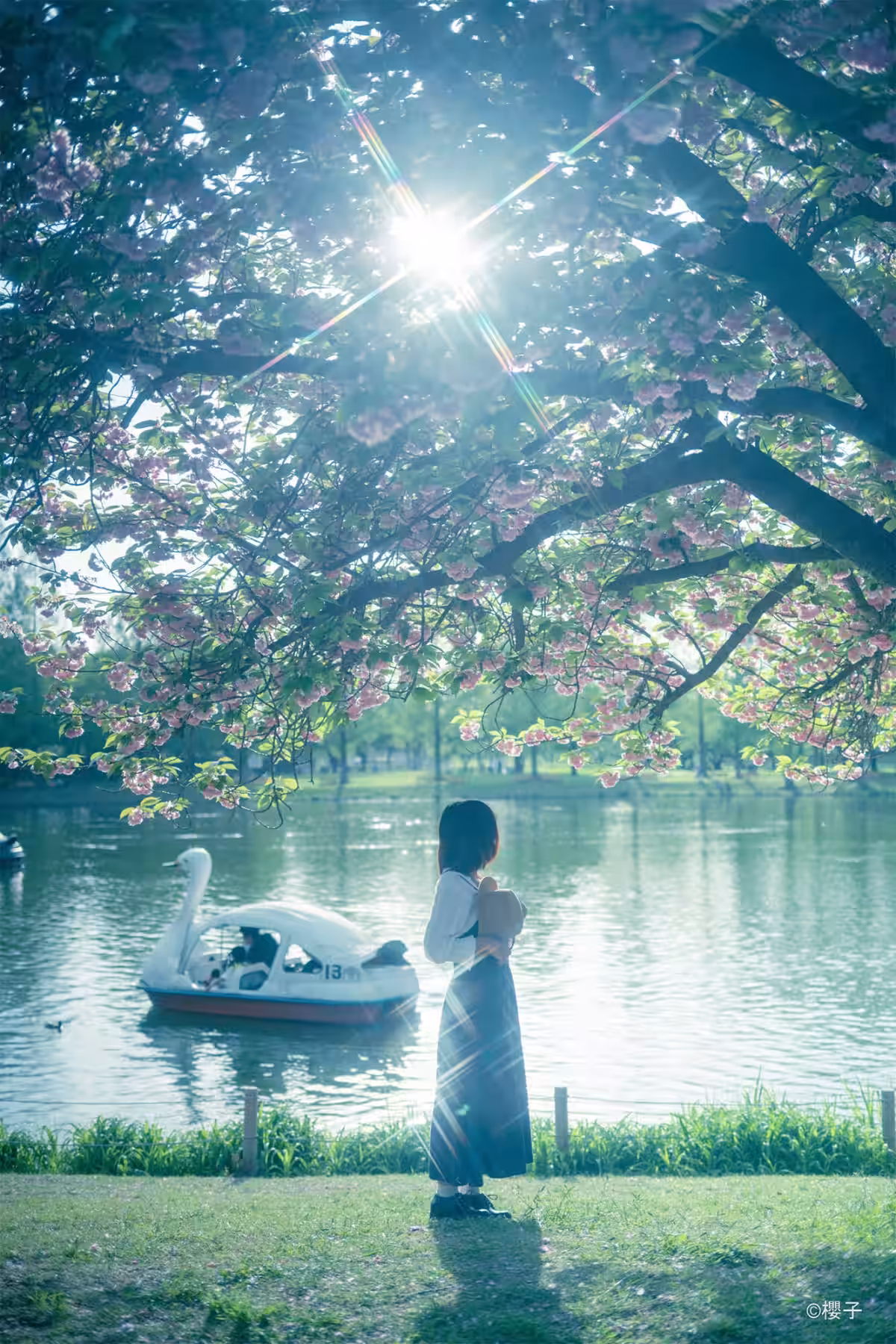 画像8
