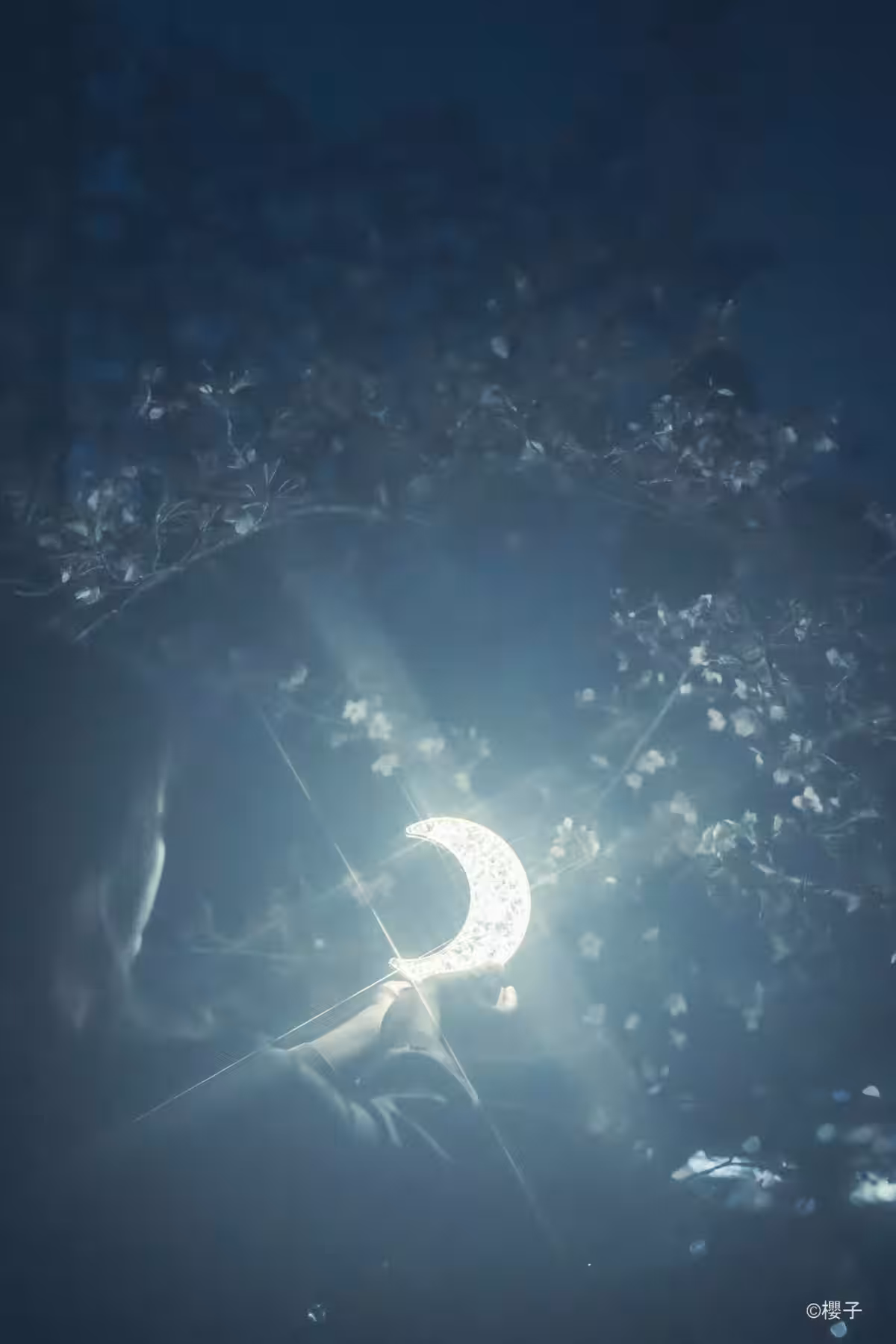 画像7