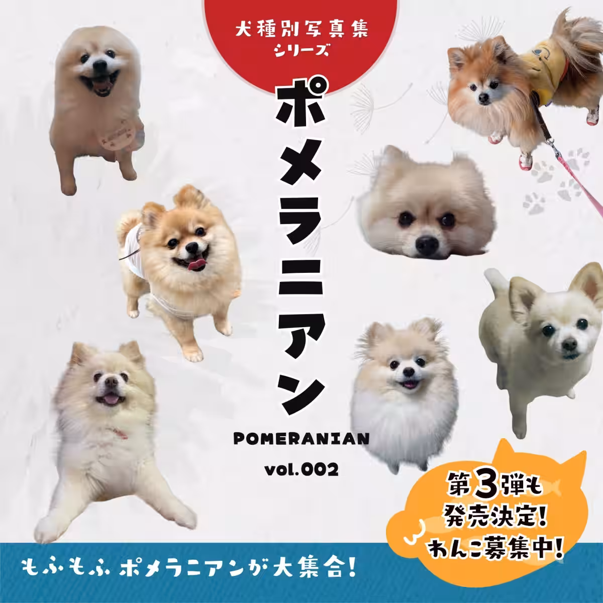 画像9