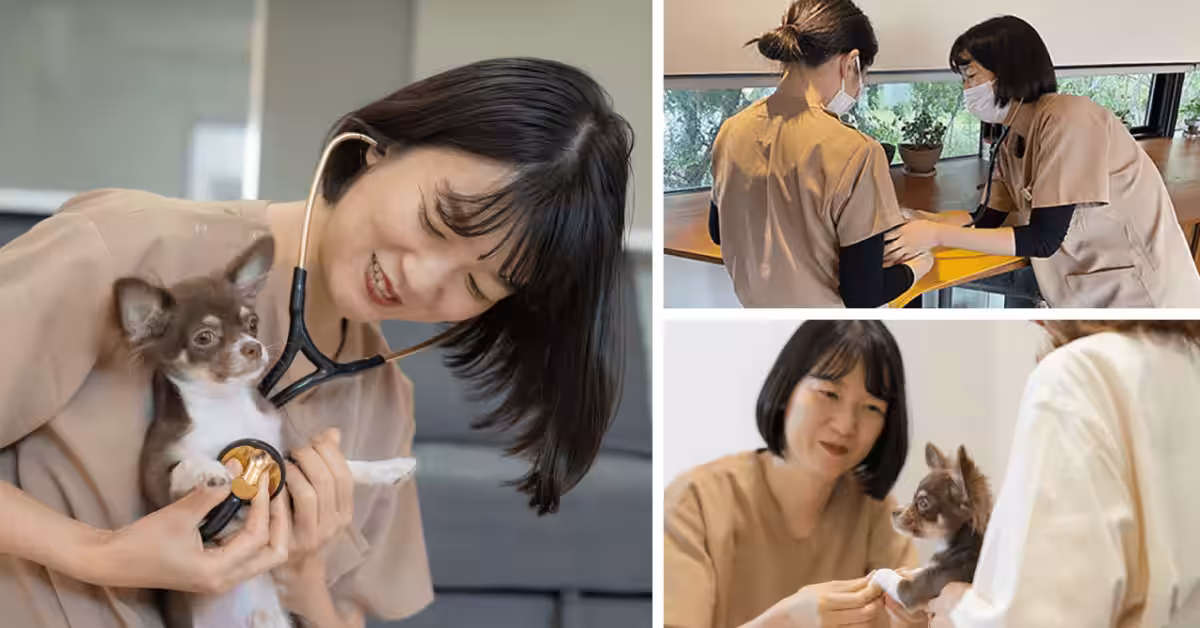 画像5
