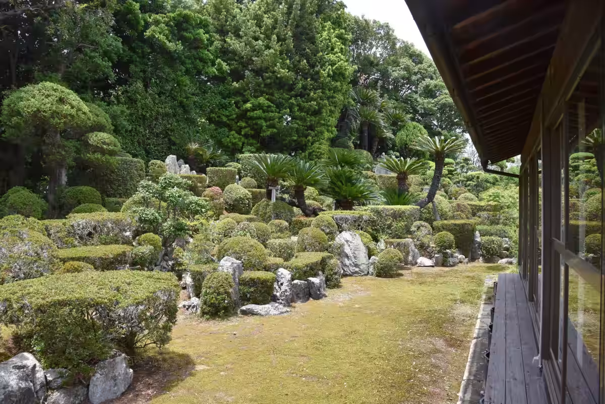 画像6