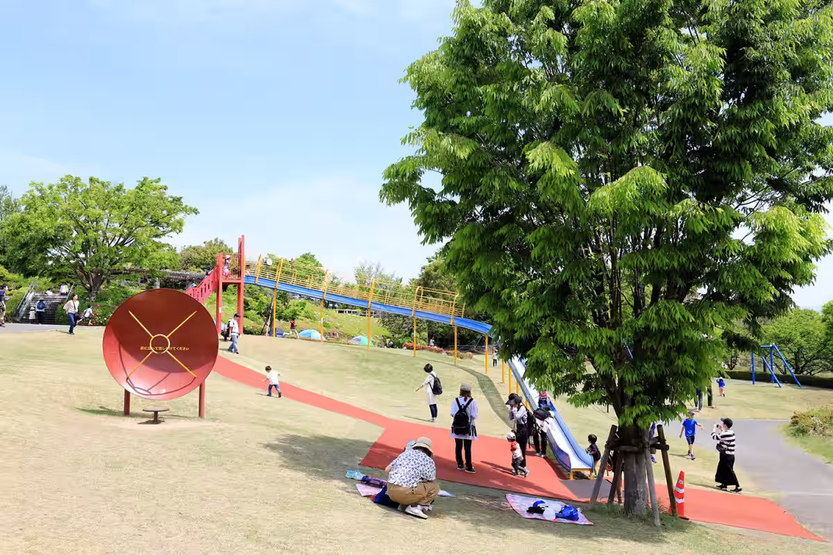 画像9