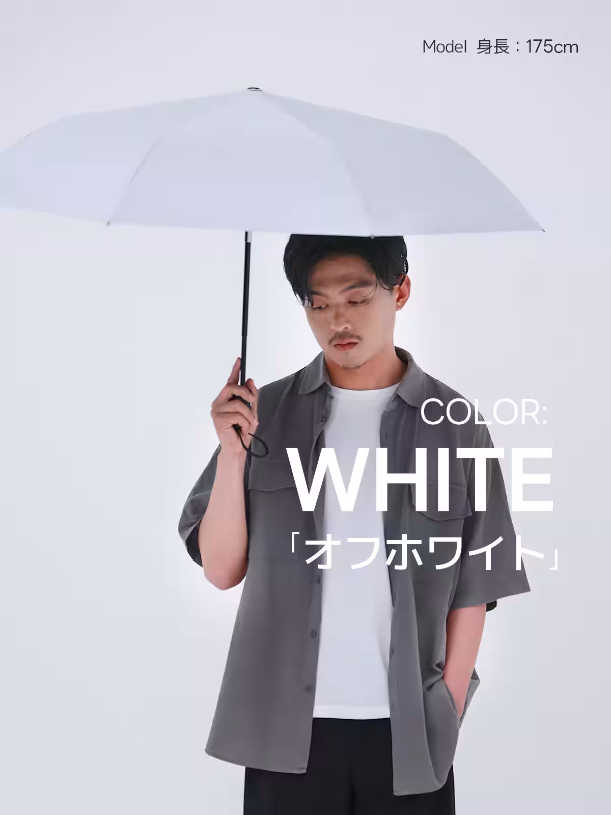 画像15