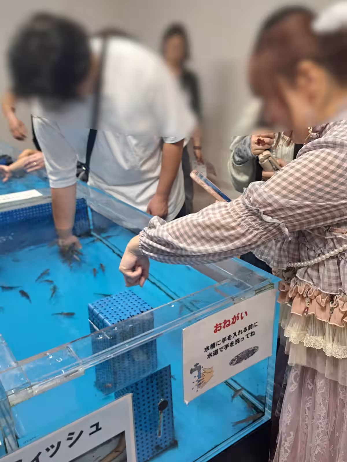 画像8