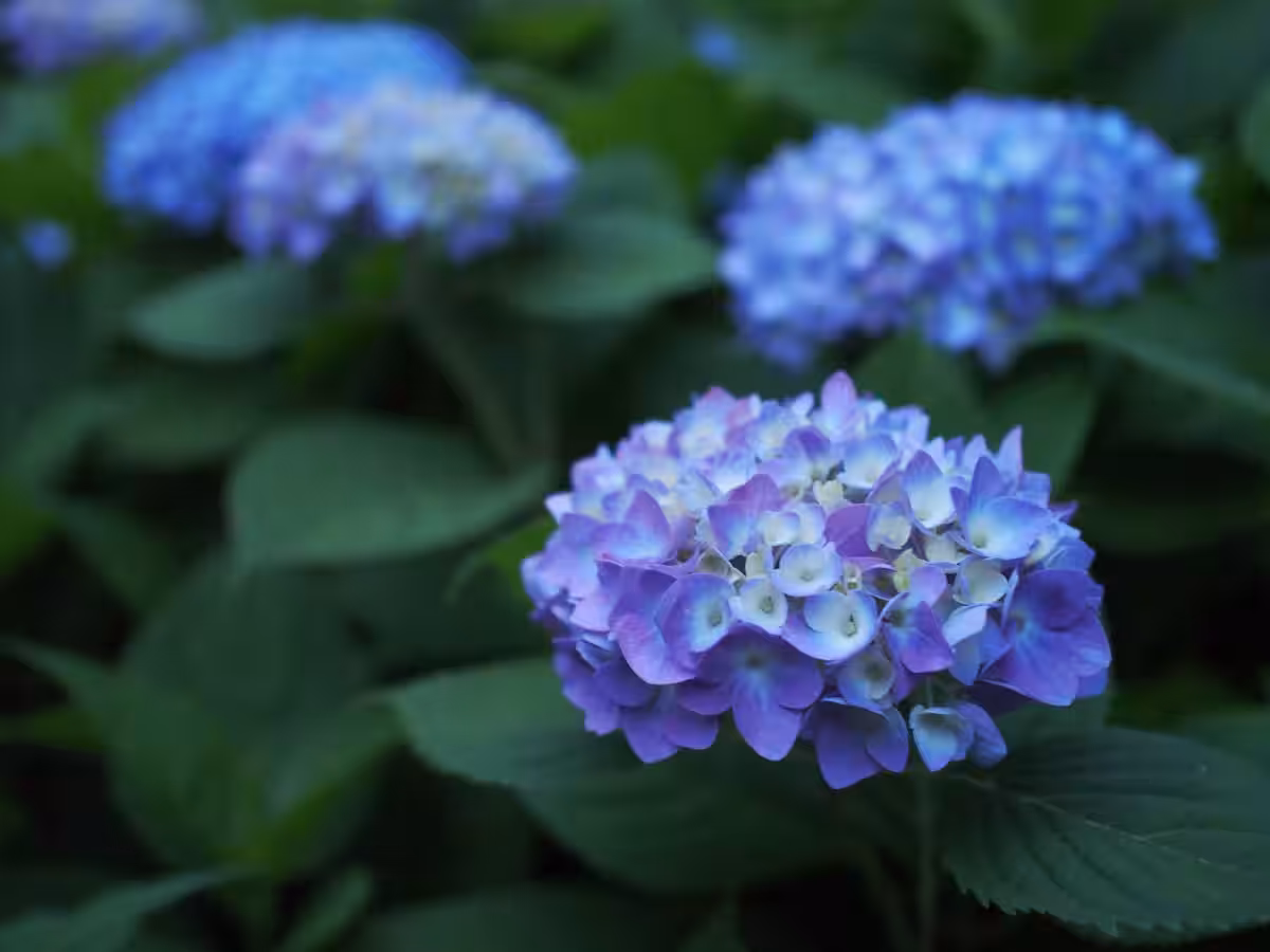 画像9