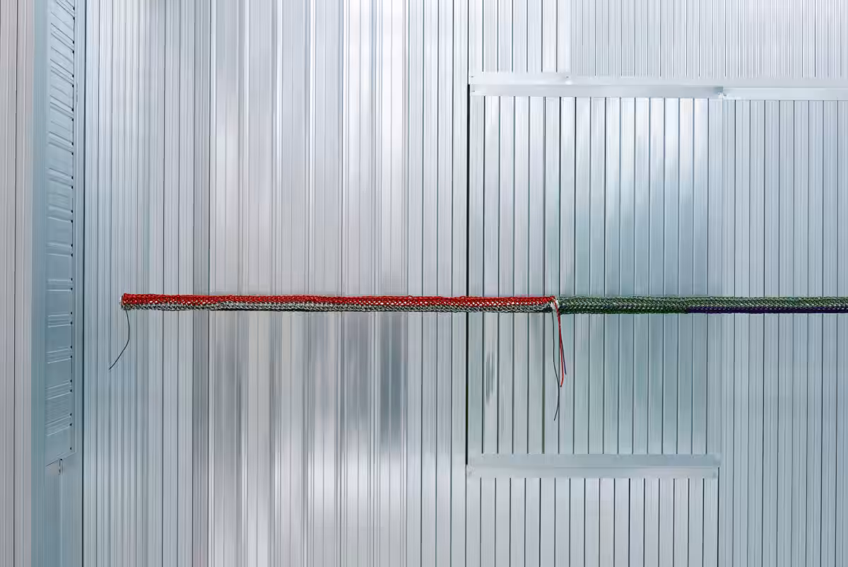 画像11