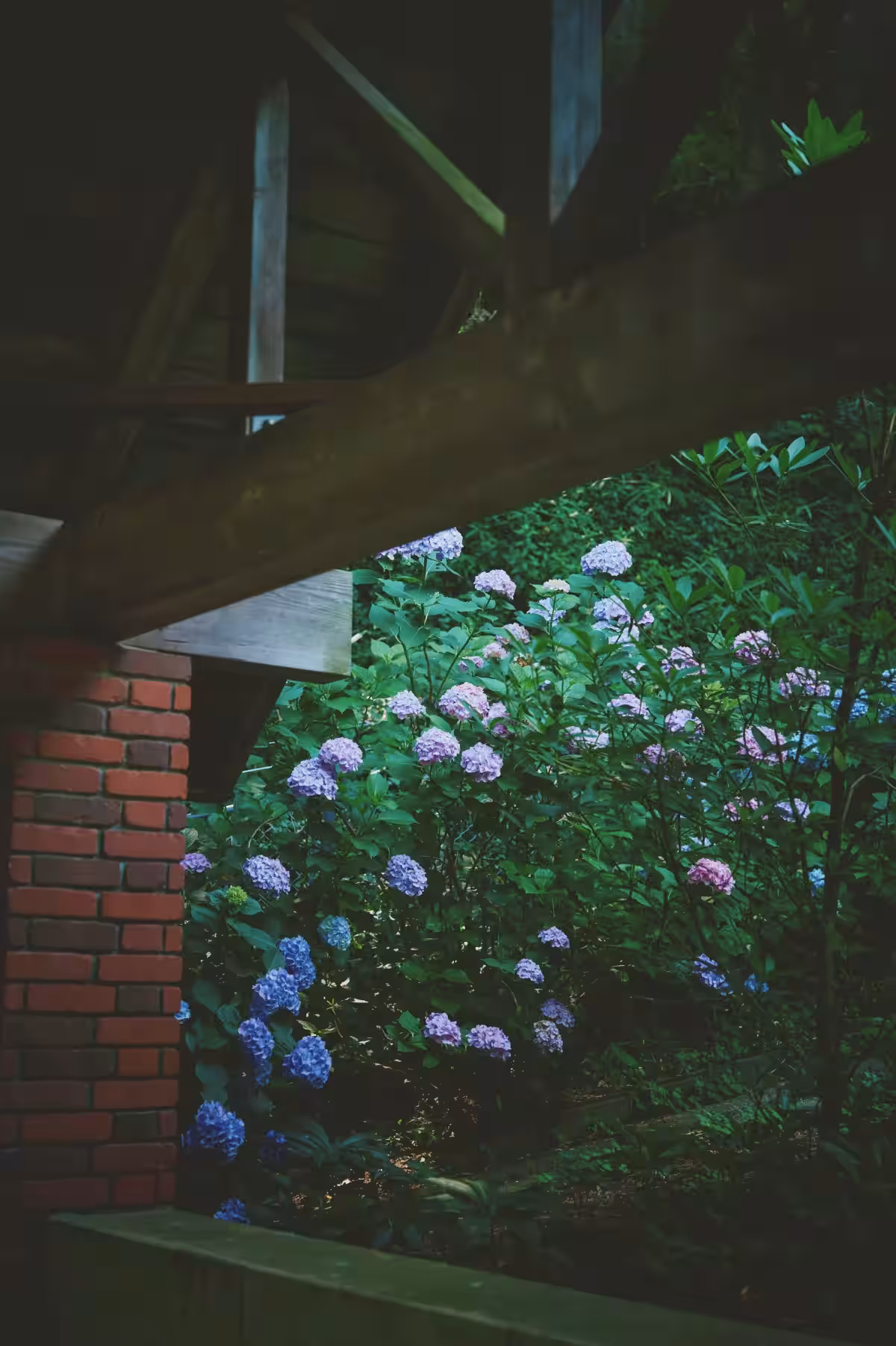 画像16