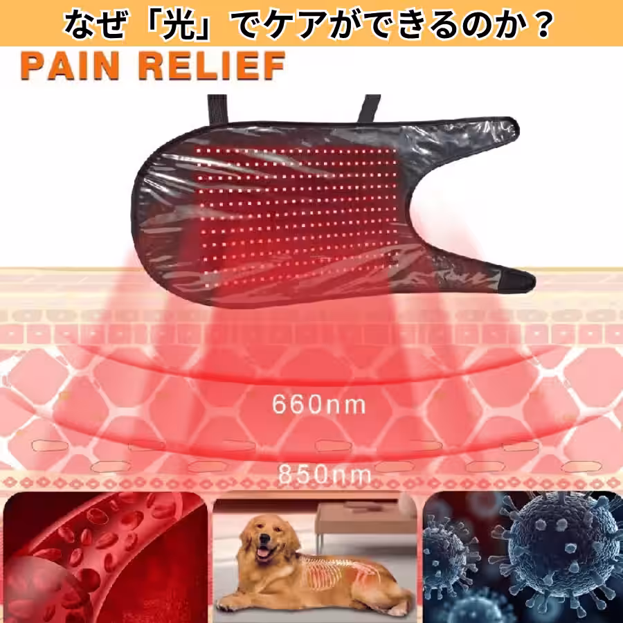 画像9