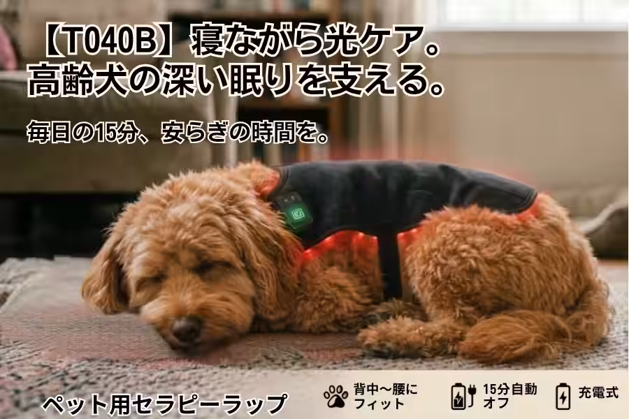画像13