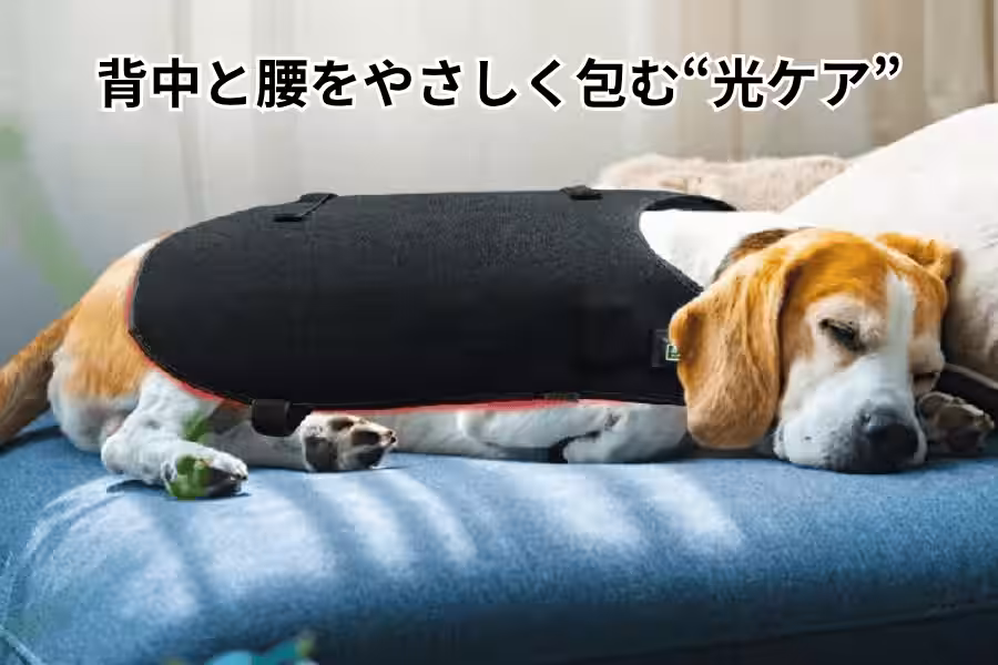 画像7