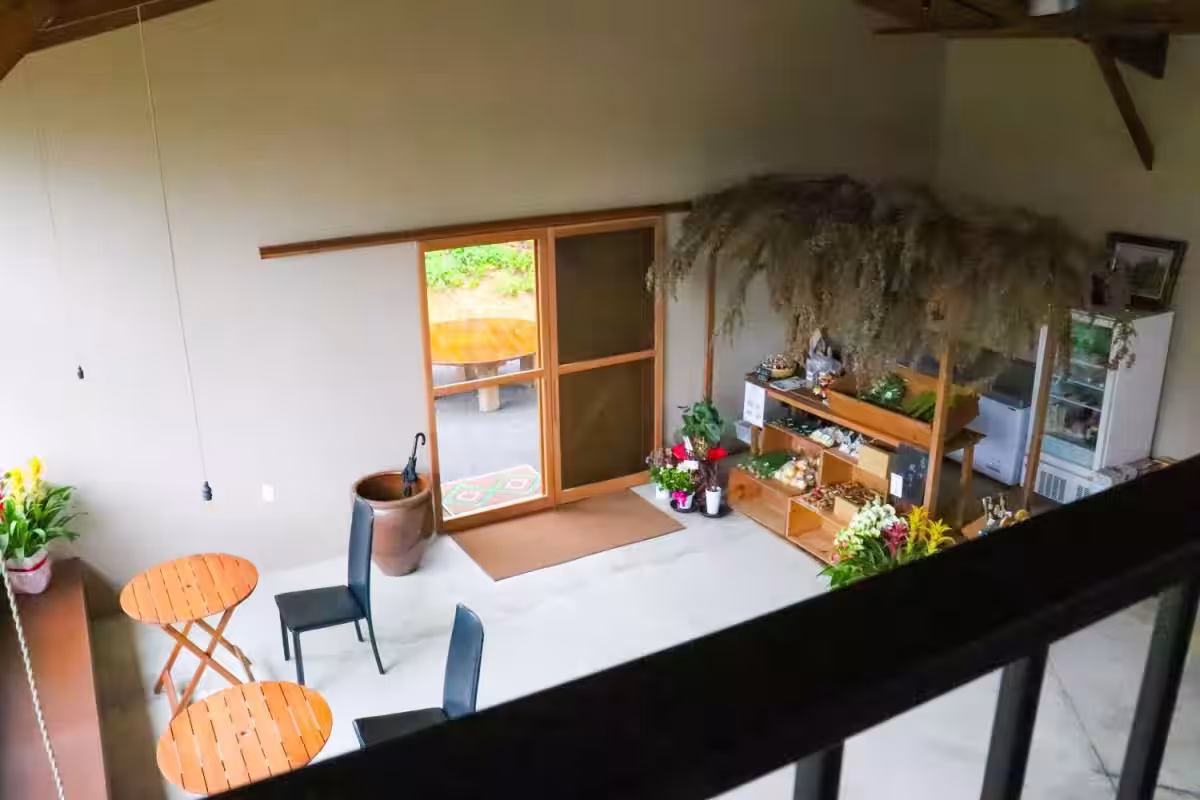 画像5