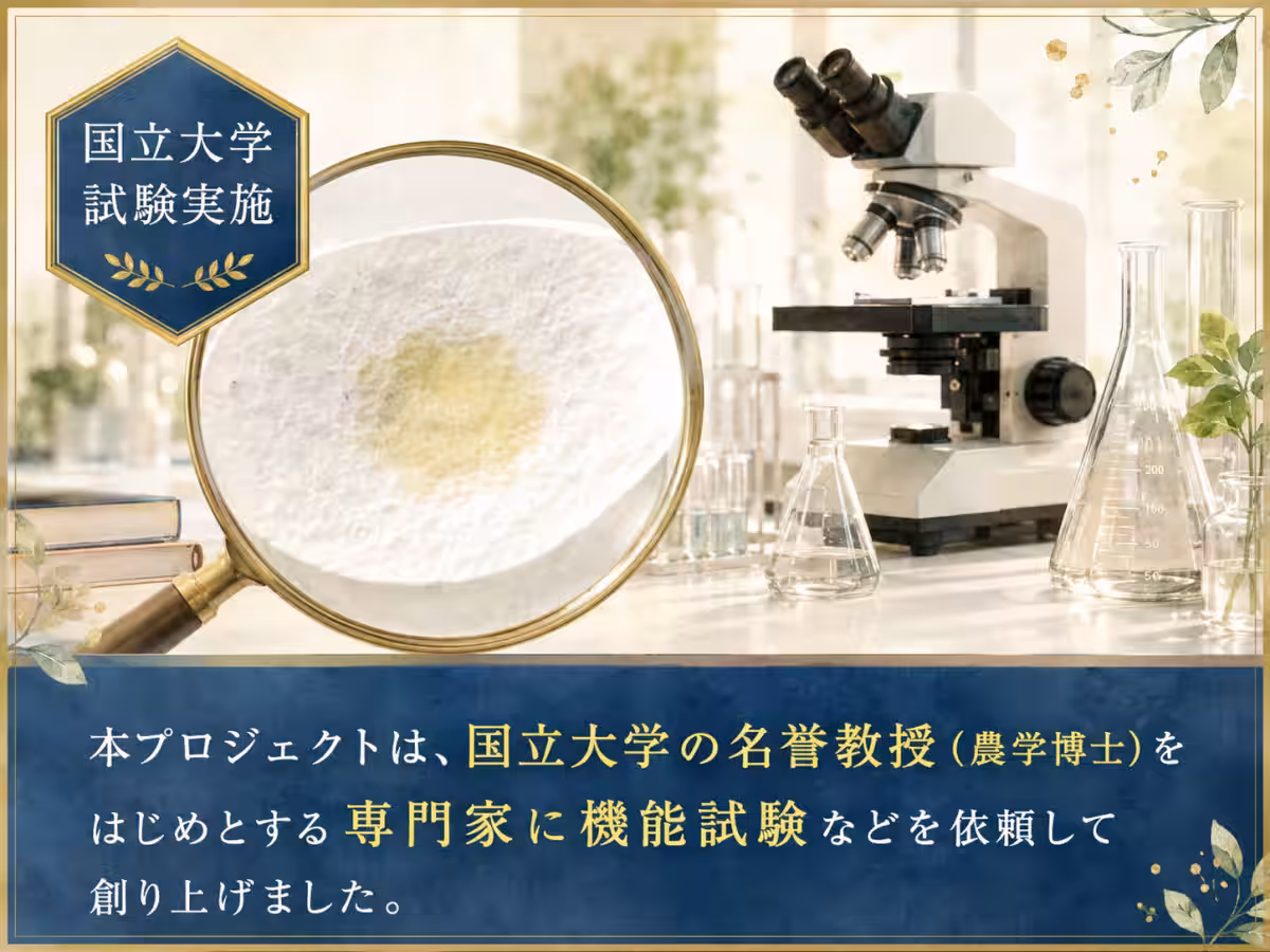 画像13