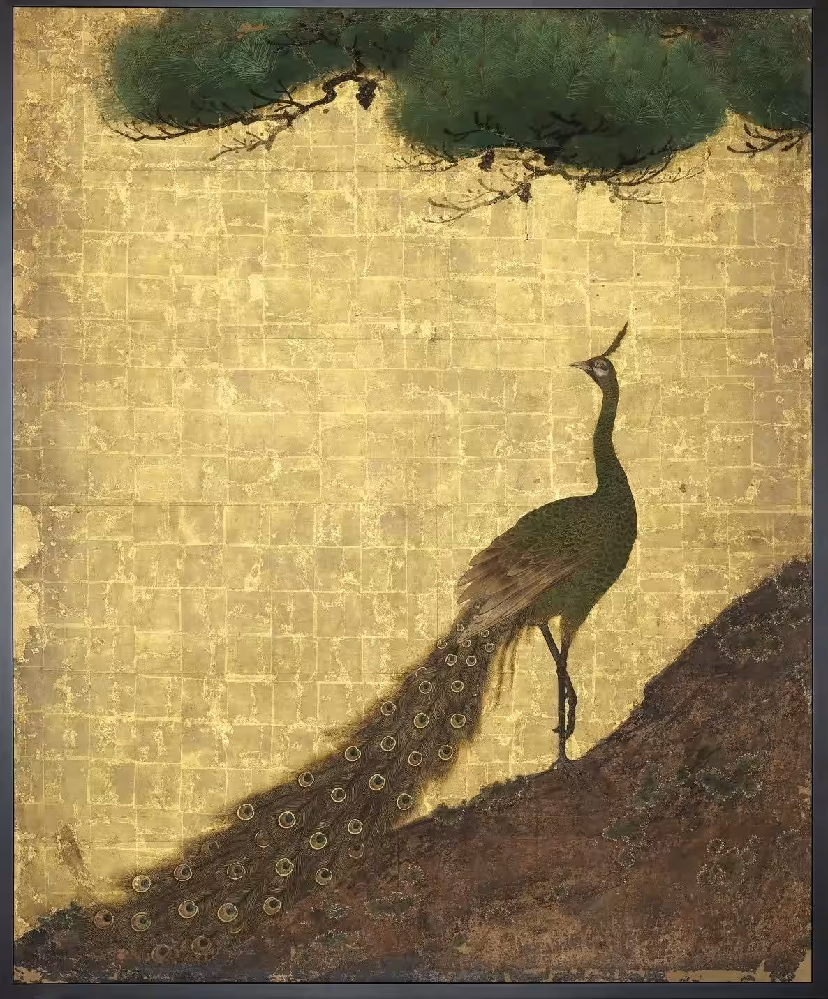 画像7