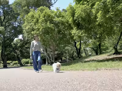 画像10