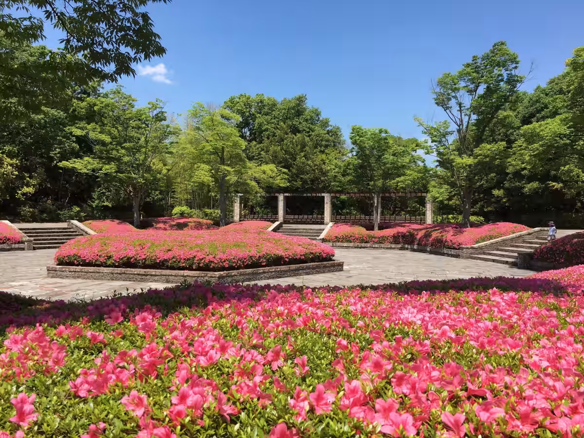画像10