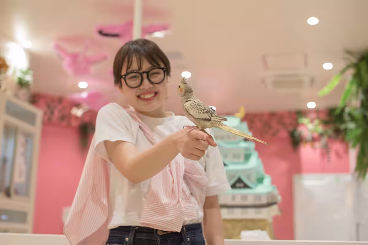 画像6