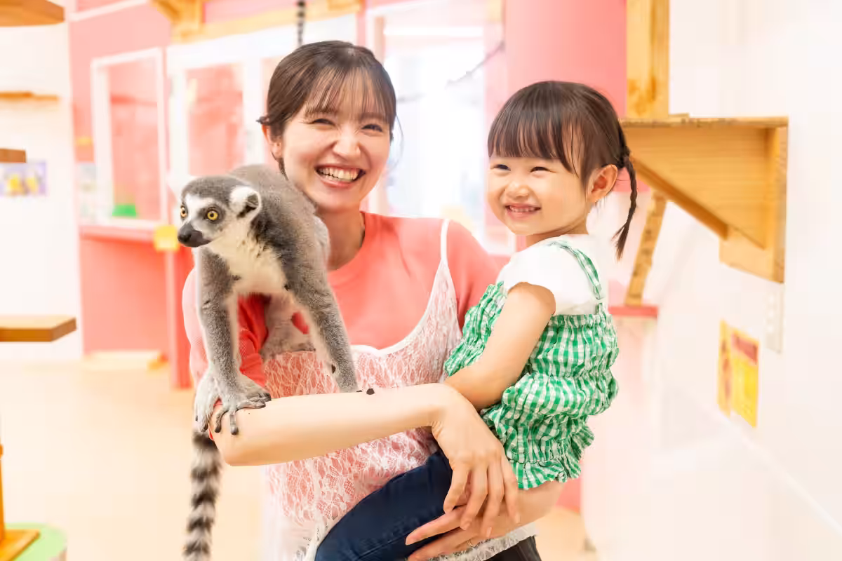画像8