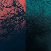 エンリケスの新作