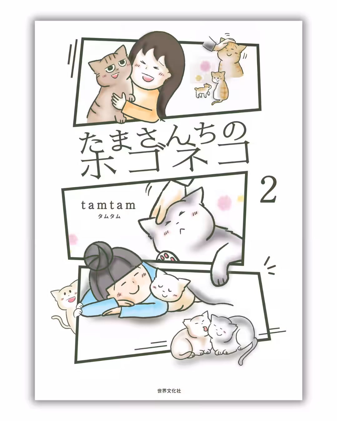 画像5