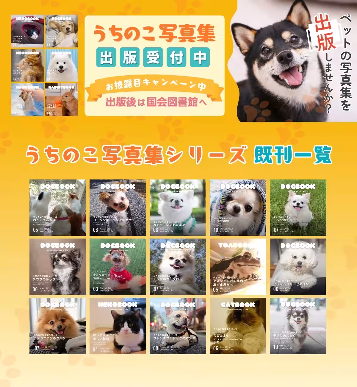画像10