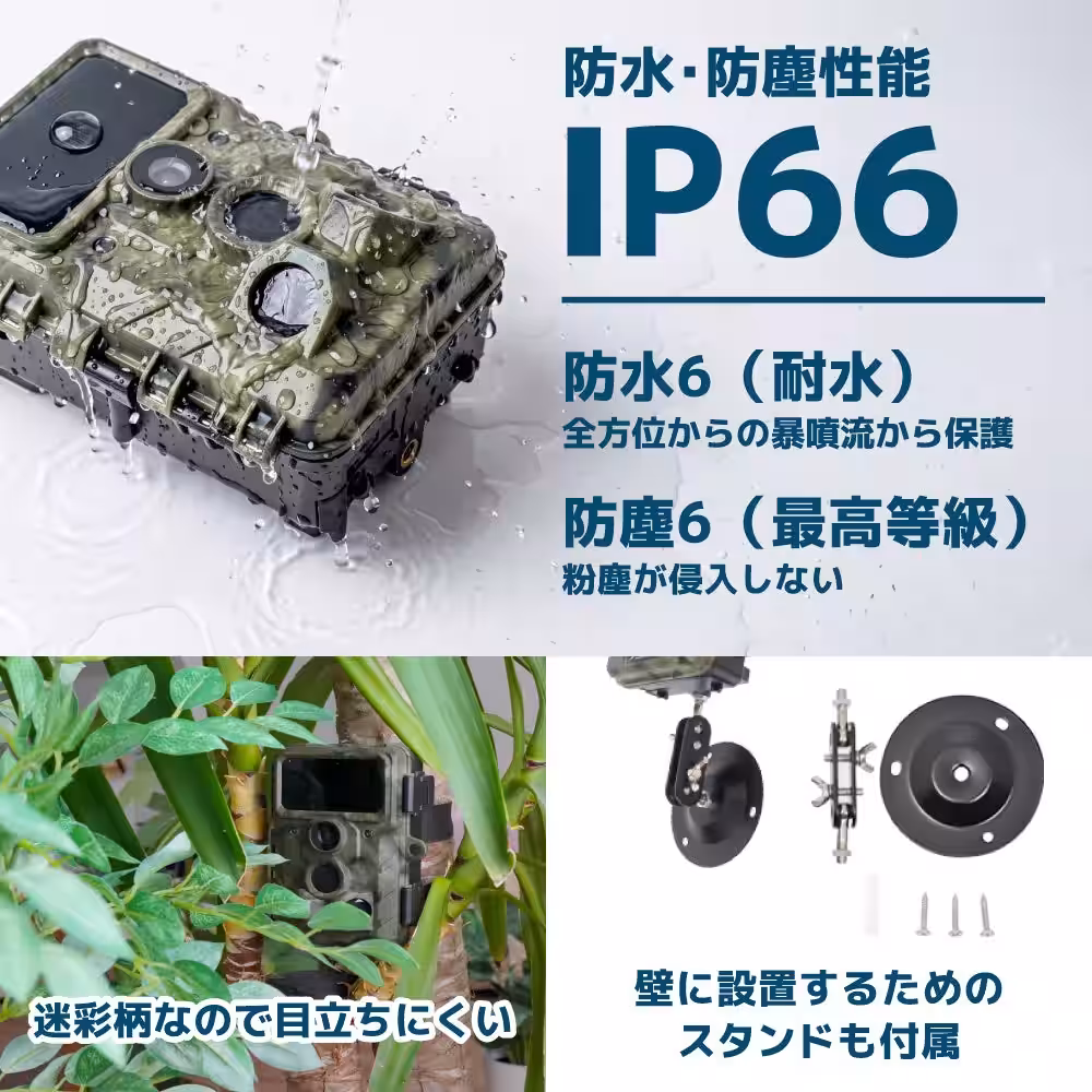 画像13