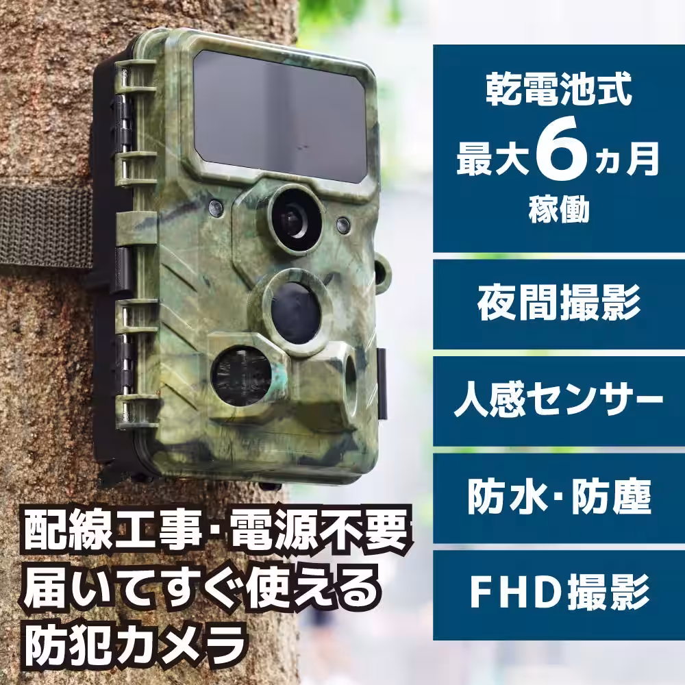 画像3
