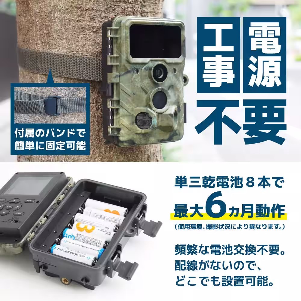 画像9
