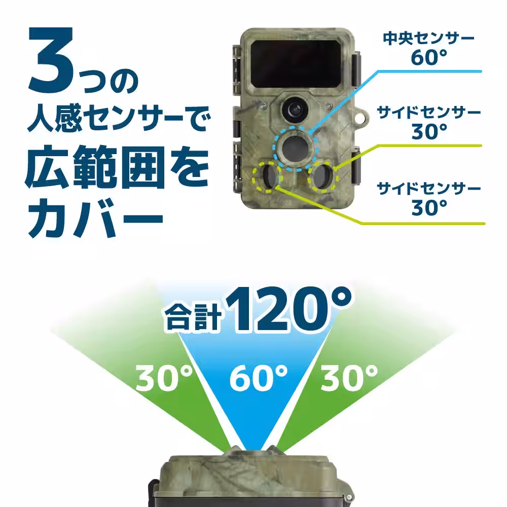 画像10