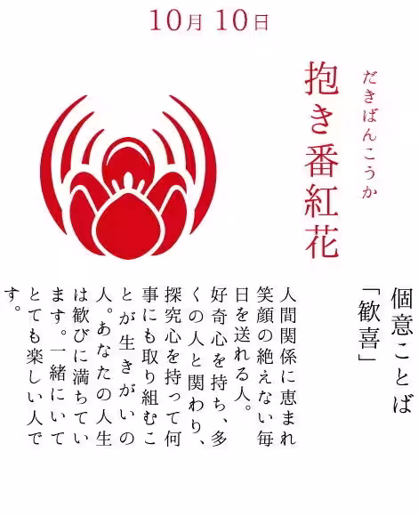 画像9
