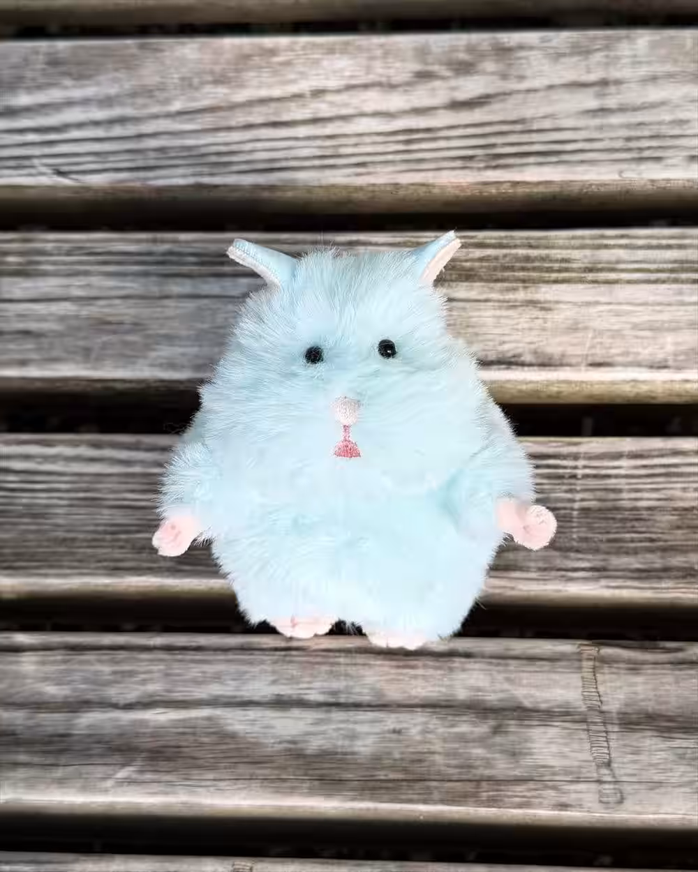 画像3