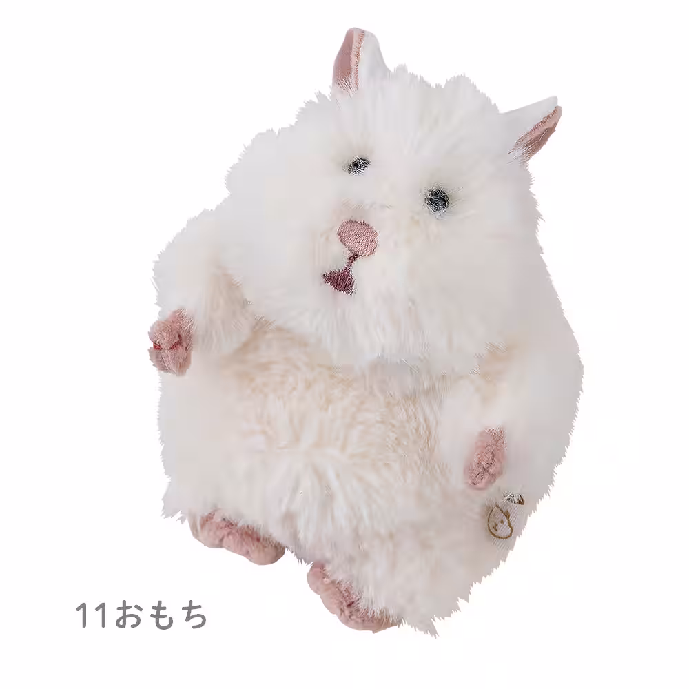画像11